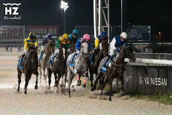 Las Noches del Hipódromo 2026