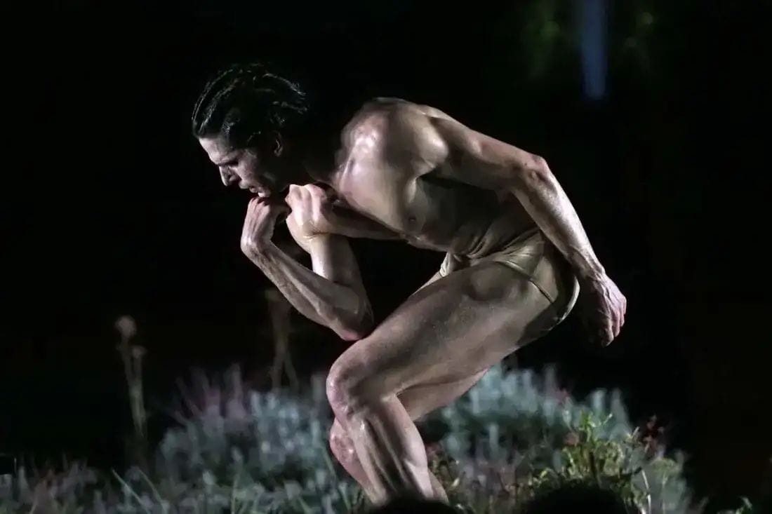 Ballet «Rodin»
