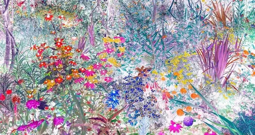 Exposición «El jardín revelado. José Quintanilla»
