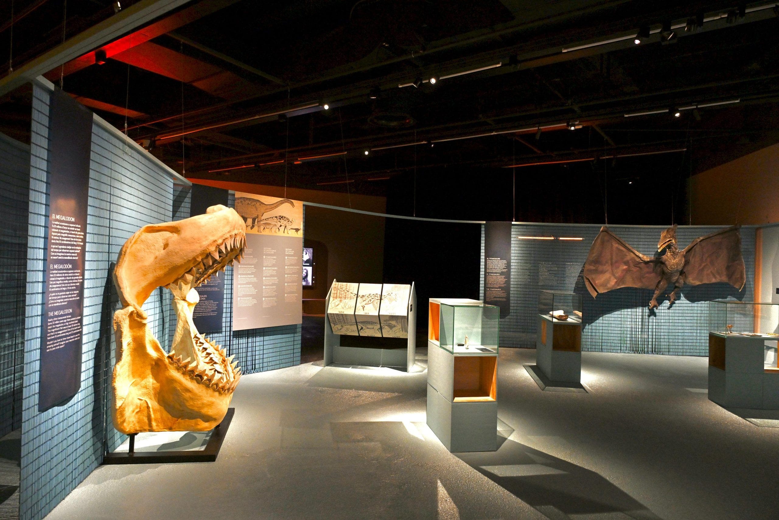 Sala de museu amb l'esquelet d'un gran animal prehistòric taronja en primer pla i vitrines il·luminades al fons