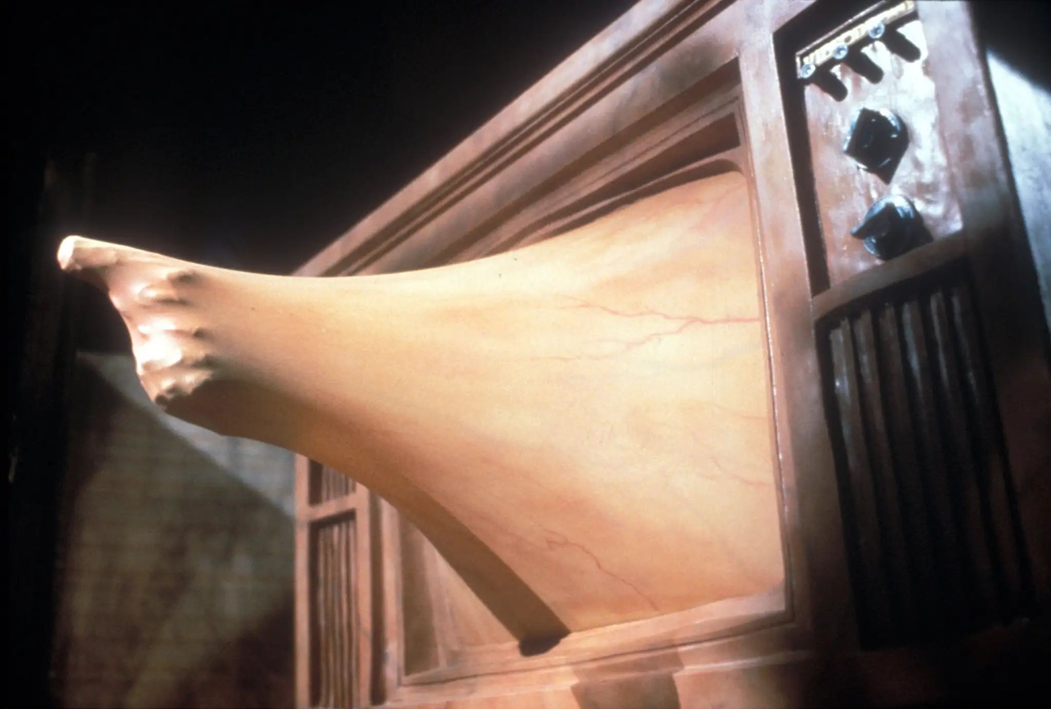 Ciclo de cine «David Cronenberg: The Original Body Horror»