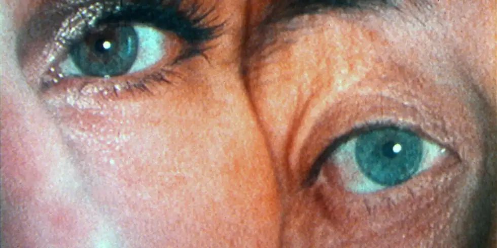 Retrospectiva de Barbara Hammer