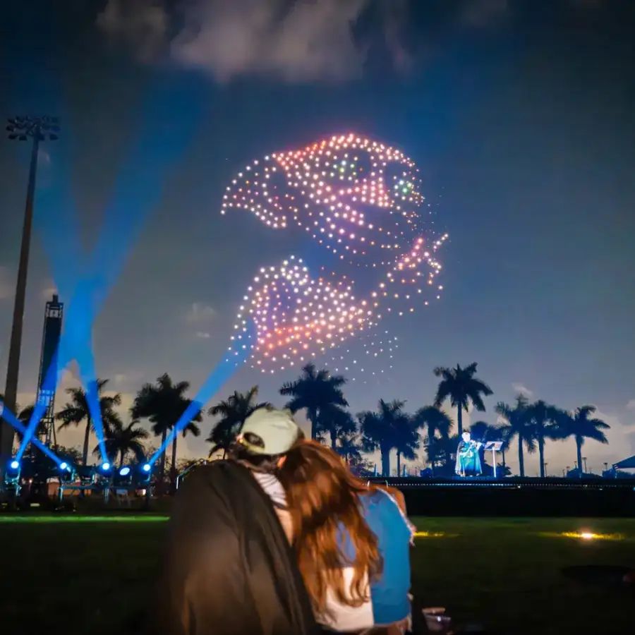DroneArt Show: Harry Potter™