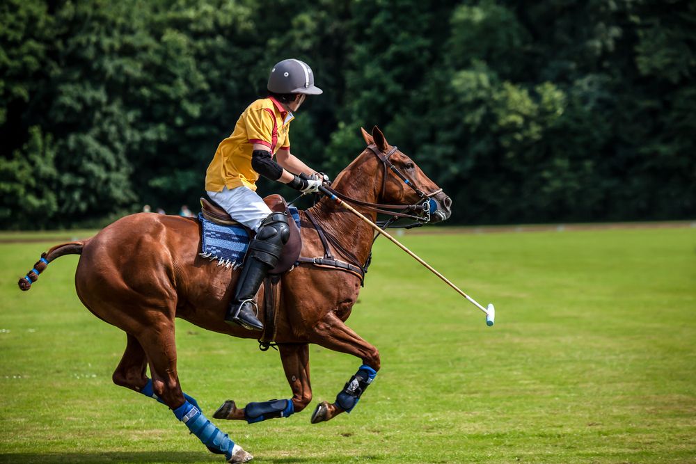 58.º Barcelona Polo Challenge Negrita Cup