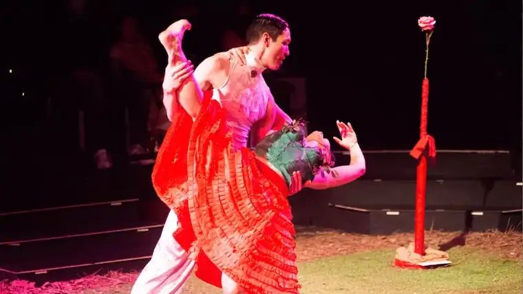 Espectáculo de danza «El Petit Príncep»