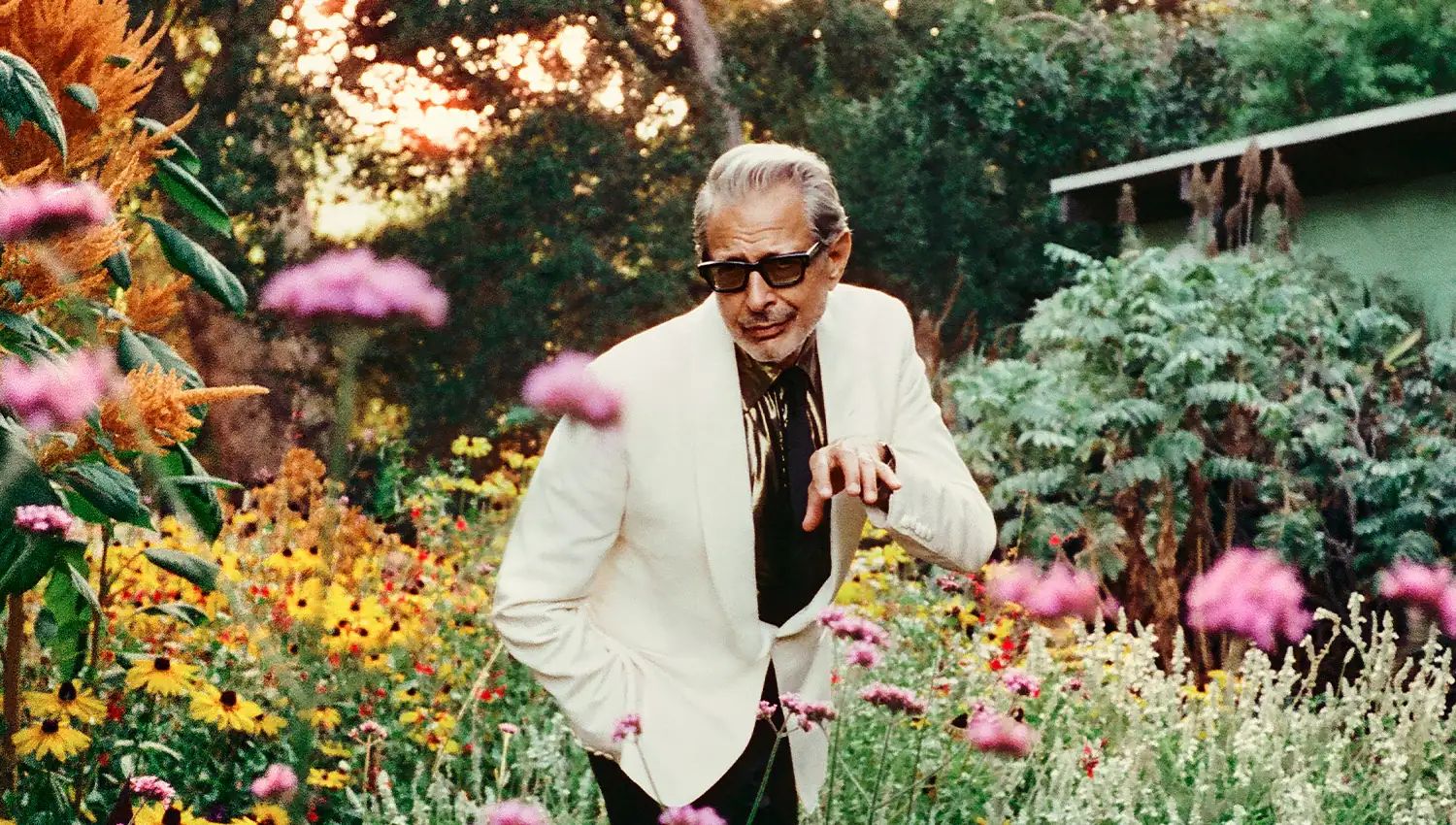 Concierto de Jeff Goldblum & The Mildred Snitzer Orchestra