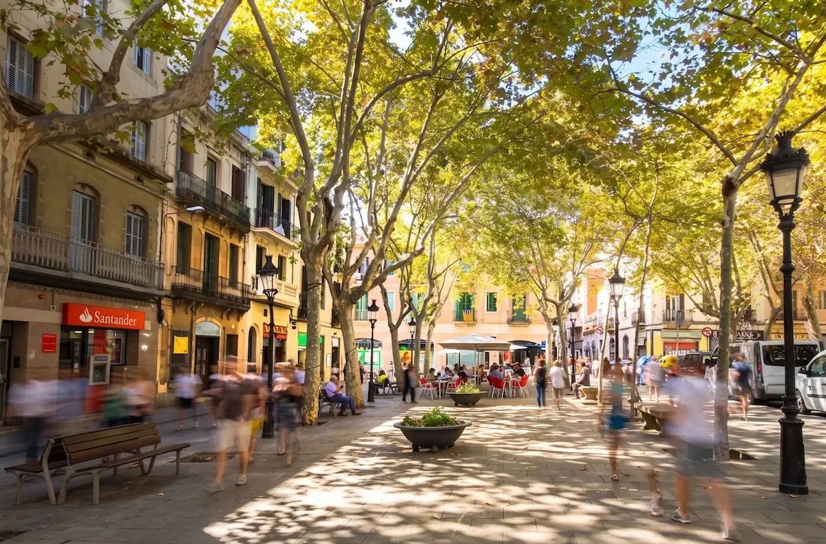 Rovira i Trias sorprèn i guanya els decorats de Gràcia 2026