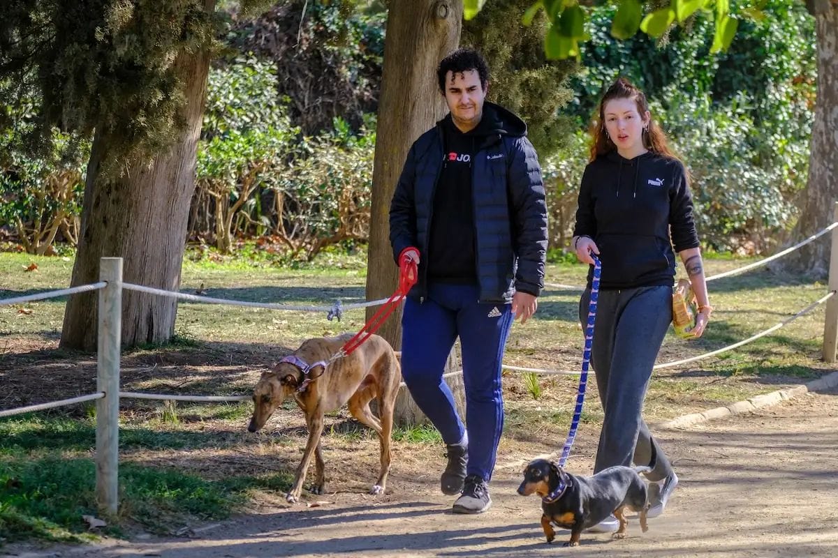 Barcelona amplia els espais per passejar gossos sense corretja