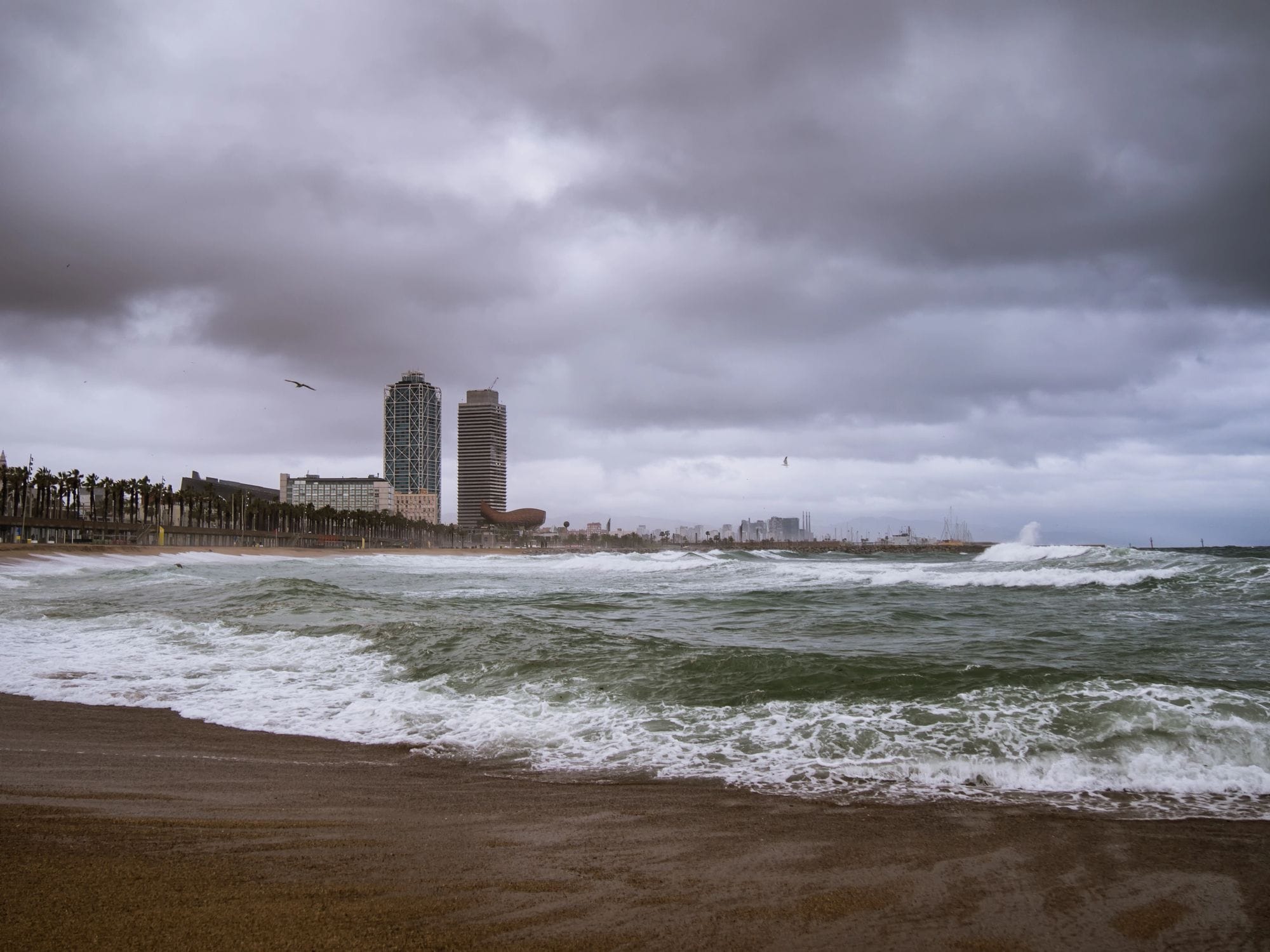 Barcelona se prepara para la Setmana dels Barbuts: frío extremo y lluvias en enero