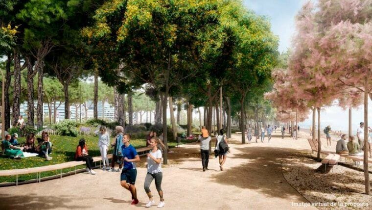 La Mar Bella es reinventa: de solar oblidat a pulmó verd al costat del mar