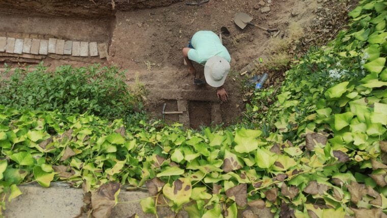 El Laberint d’Horta destapa les venes ocultes del seu jardí històric