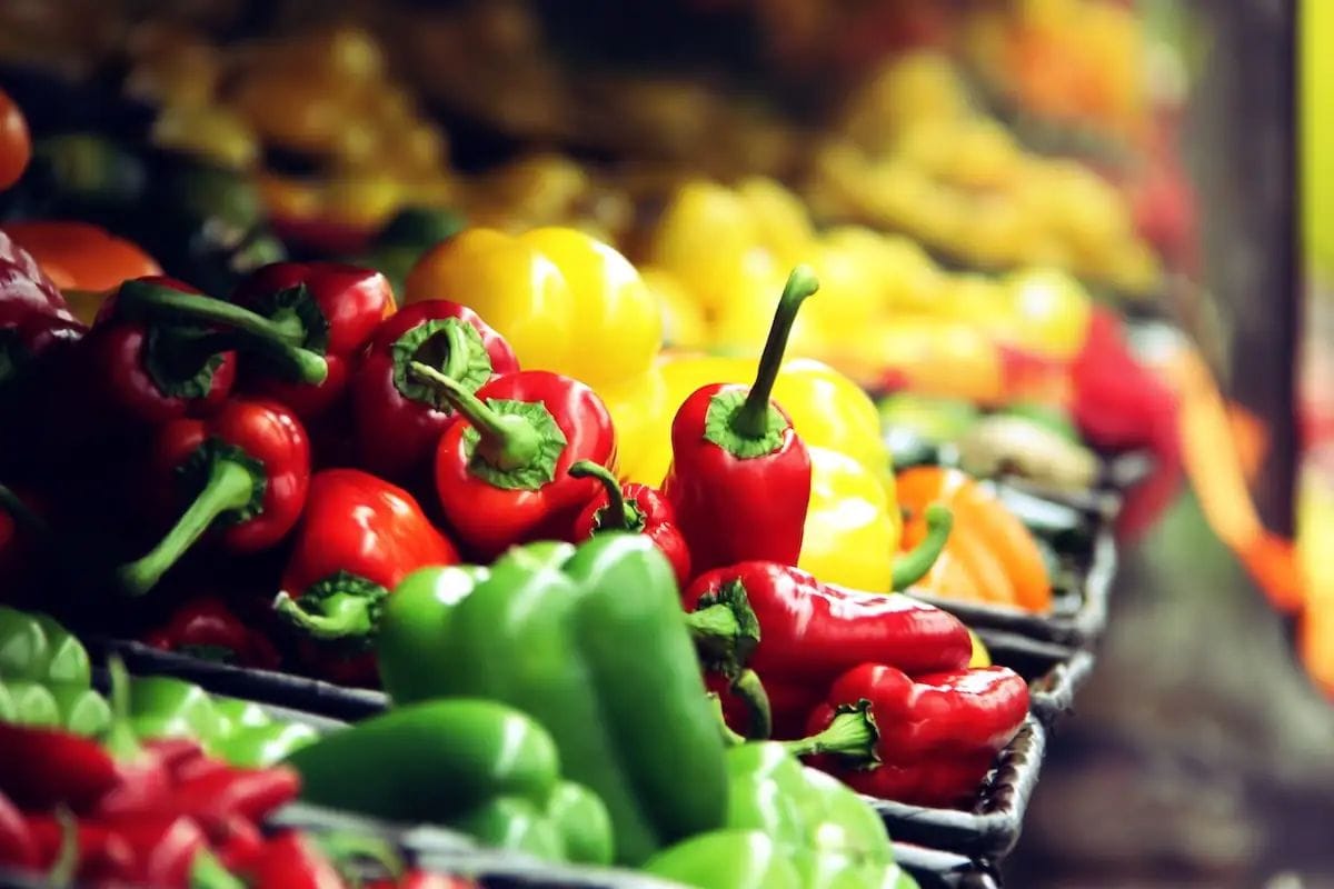 El Mercat de la Terra torna aquest dissabte a Poble-sec després del paró d'agost