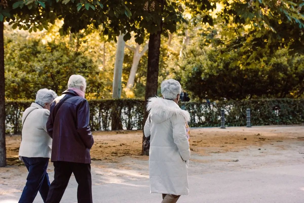 El futur de les pensions públiques a Espanya: incertesa i propostes de canvi
