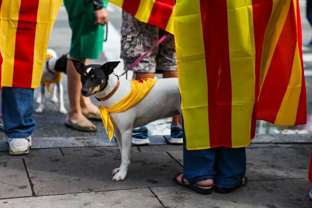 Dues marxes creuaran el centre de Barcelona durant la Diada de l'11 de setembre
