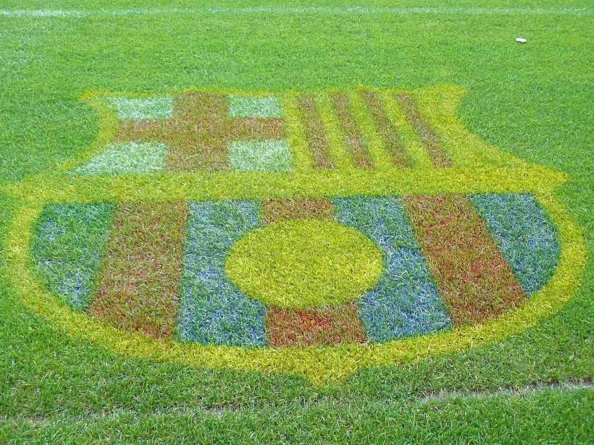 El Barça denuncia l'actuació policial contra un aficionat amb una estelada