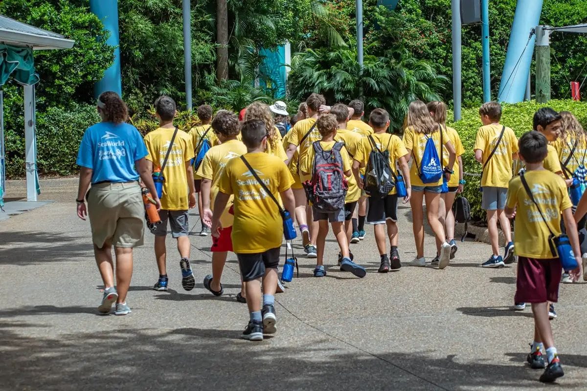Campaments d'estiu a Barcelona: com inscriure els teus fills i pagar menys