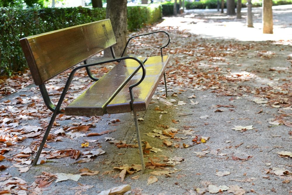 Un descuit mil·lenari que va acabar bé: recuperen 60 dècims oblidats en un banc de Barcelona