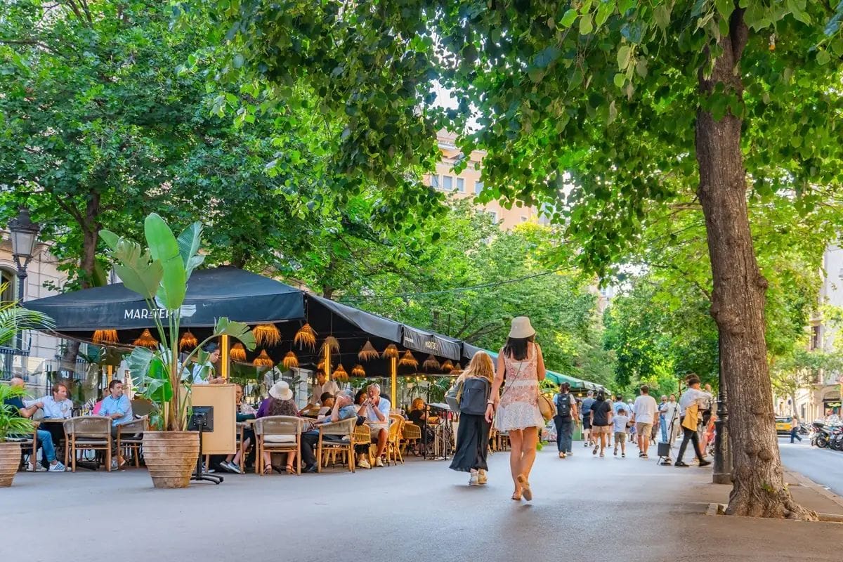 Nous arbres a Barcelona impulsen espais verds i hàbits saludables