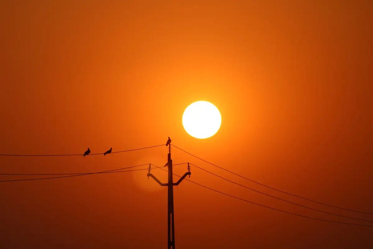El calor extremo vuelve esta semana con noches tropicales y hasta 40 grados
