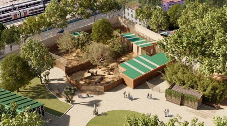 Barcelona aixeca una reserva pionera per animals en transició al Zoo