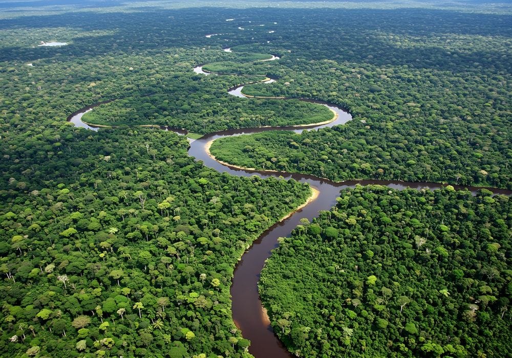 El humo de incendios tropicales lleva nutrientes clave hasta el corazón del Amazonas