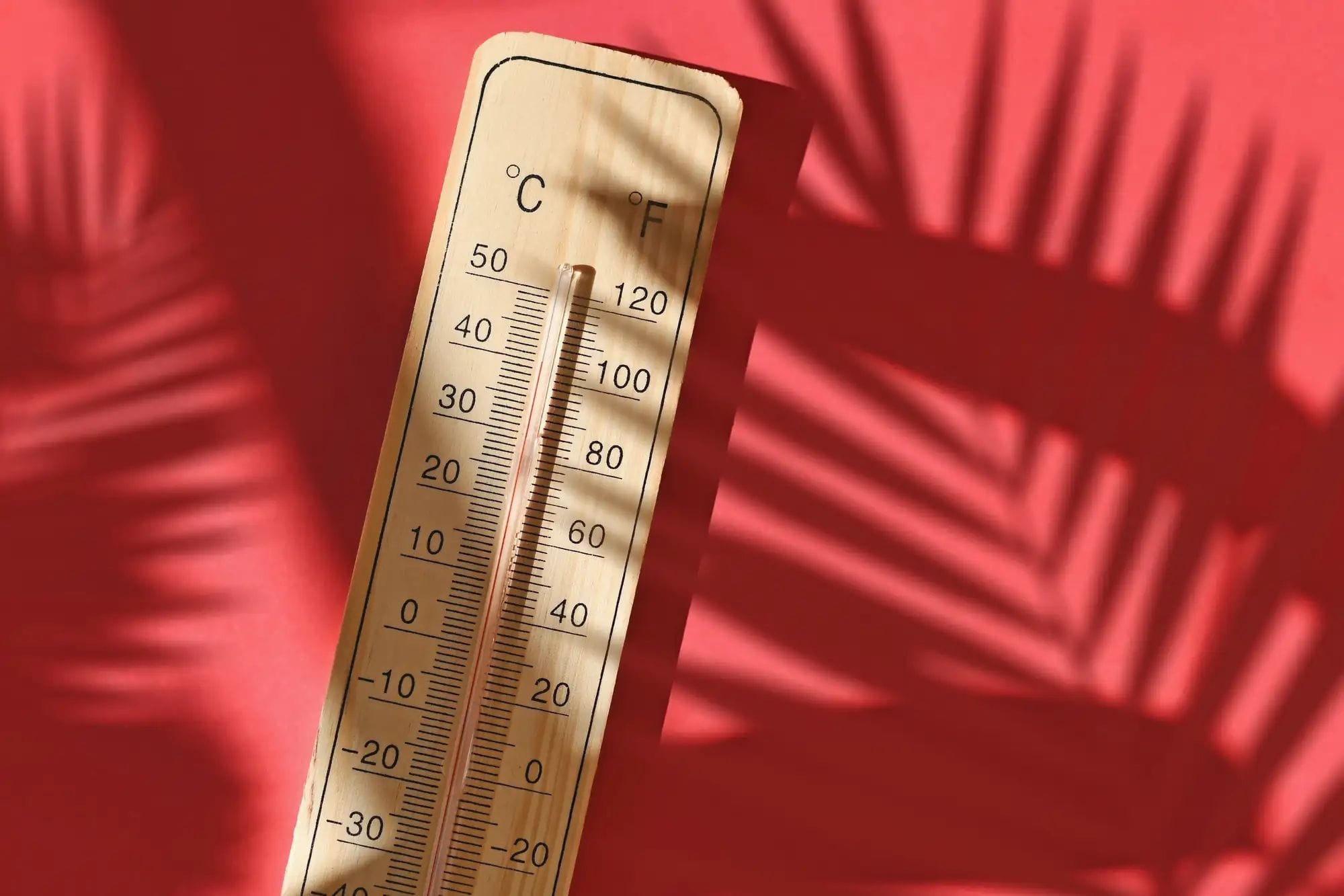 Barcelona viu un estiu amb rècord de dies de calor extrem el 2026