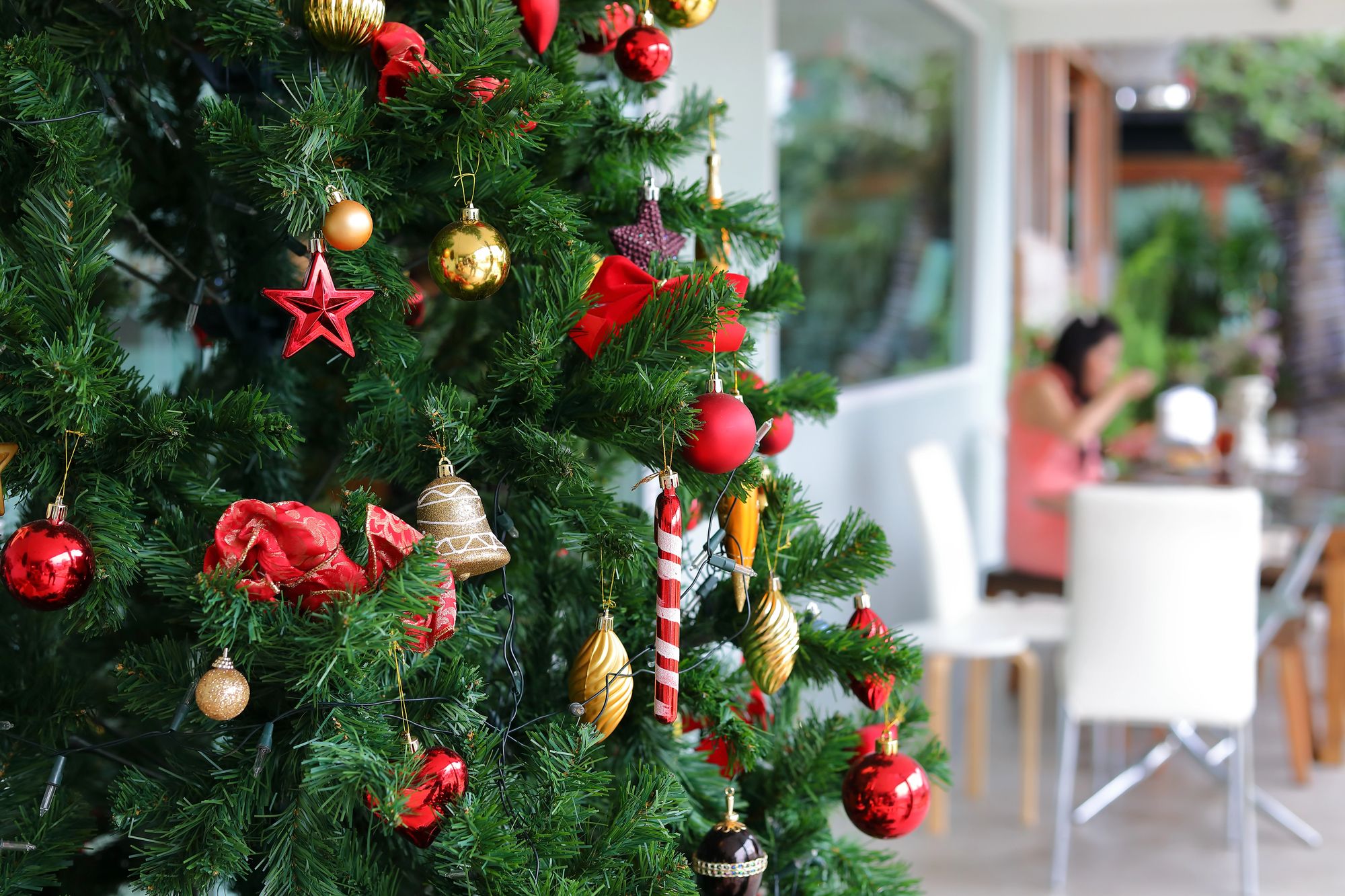 Barcelona despliega 227 puntos para reciclar tu árbol de Navidad este enero