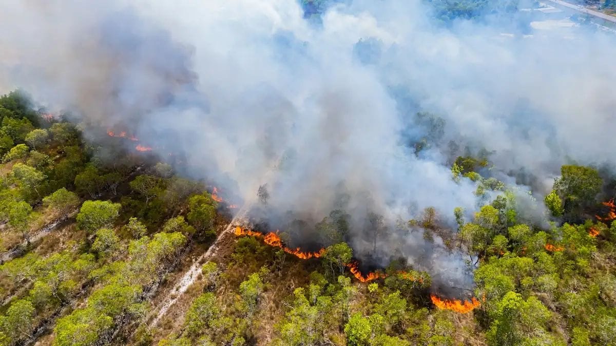 El incendio de La Bisbal sigue en vigilancia por el calor y el viento