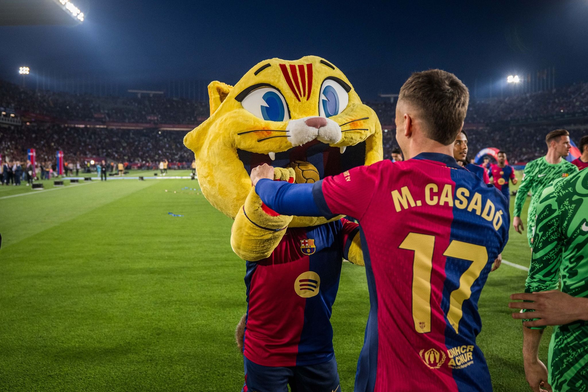 CAT, el peluix del Barça, arriba a les botigues: així es pot comprar l'edició limitada de 5.000 unitats per 34,99 €