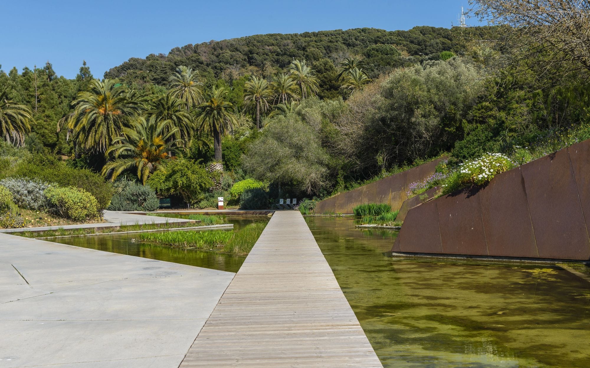 El Jardí Botànic de Barcelona abre gratis con talleres y espectáculos familiares