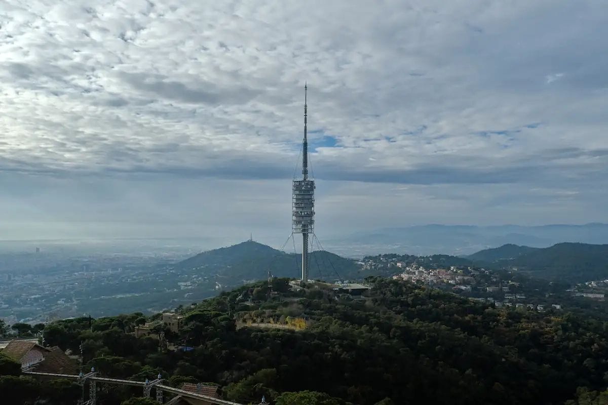 Collserola continuarà tancada almenys tres mesos més per la pesta porcina