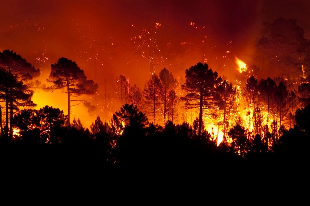Espanya bateix un rècord fosc: més de 410.000 hectàrees calcinades en la pitjor onada d'incendis del segle