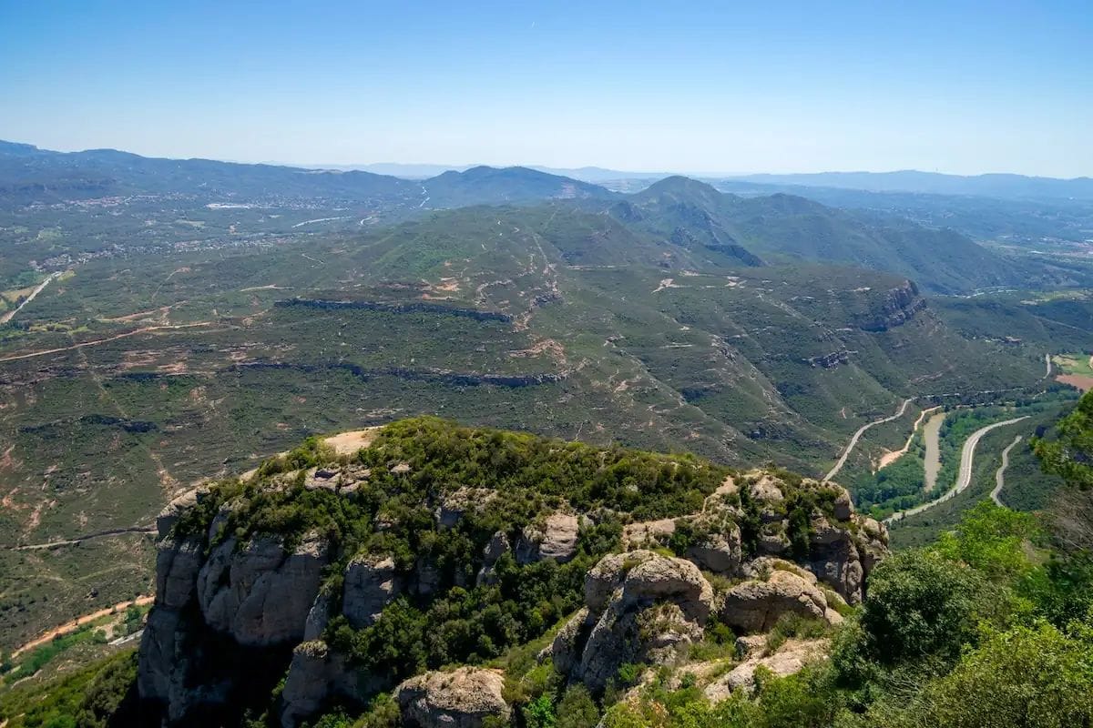 La pesta porcina fa una treva a Collserola, però continuen les restriccions