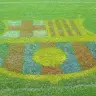 El Barça denuncia la actuación policial contra un aficionado con una estelada