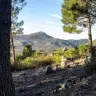 La L4 de Guadarrama amplía su recorrido para conectar barrios y colegios