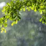 Madrid cambia de tiempo: lluvia y bajada térmica antes de un viernes soleado