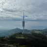 Collserola seguirá cerrada al menos tres meses más por la peste porcina