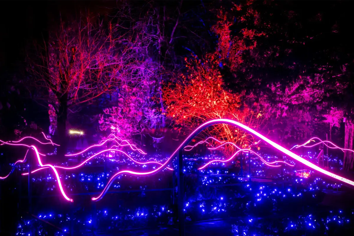 Experiencia «Naturaleza Encendida: Alicia en el País de las Maravillas»