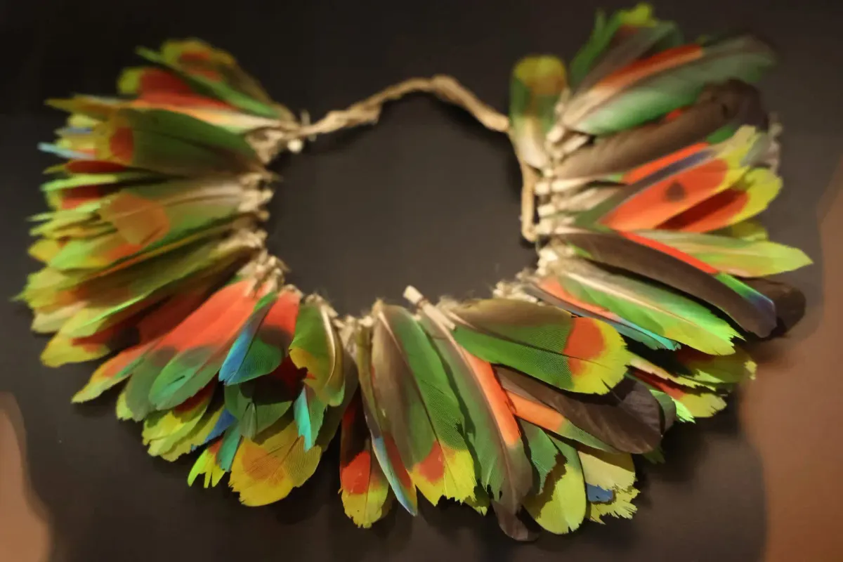 Exposición «Arte plumario: naturaleza, identidad y poder»