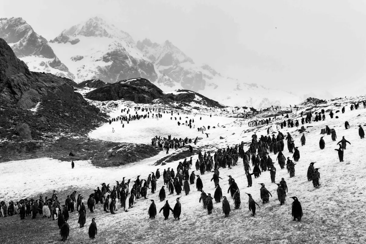 Exposición «Aqua Mater. Sebastião Salgado»