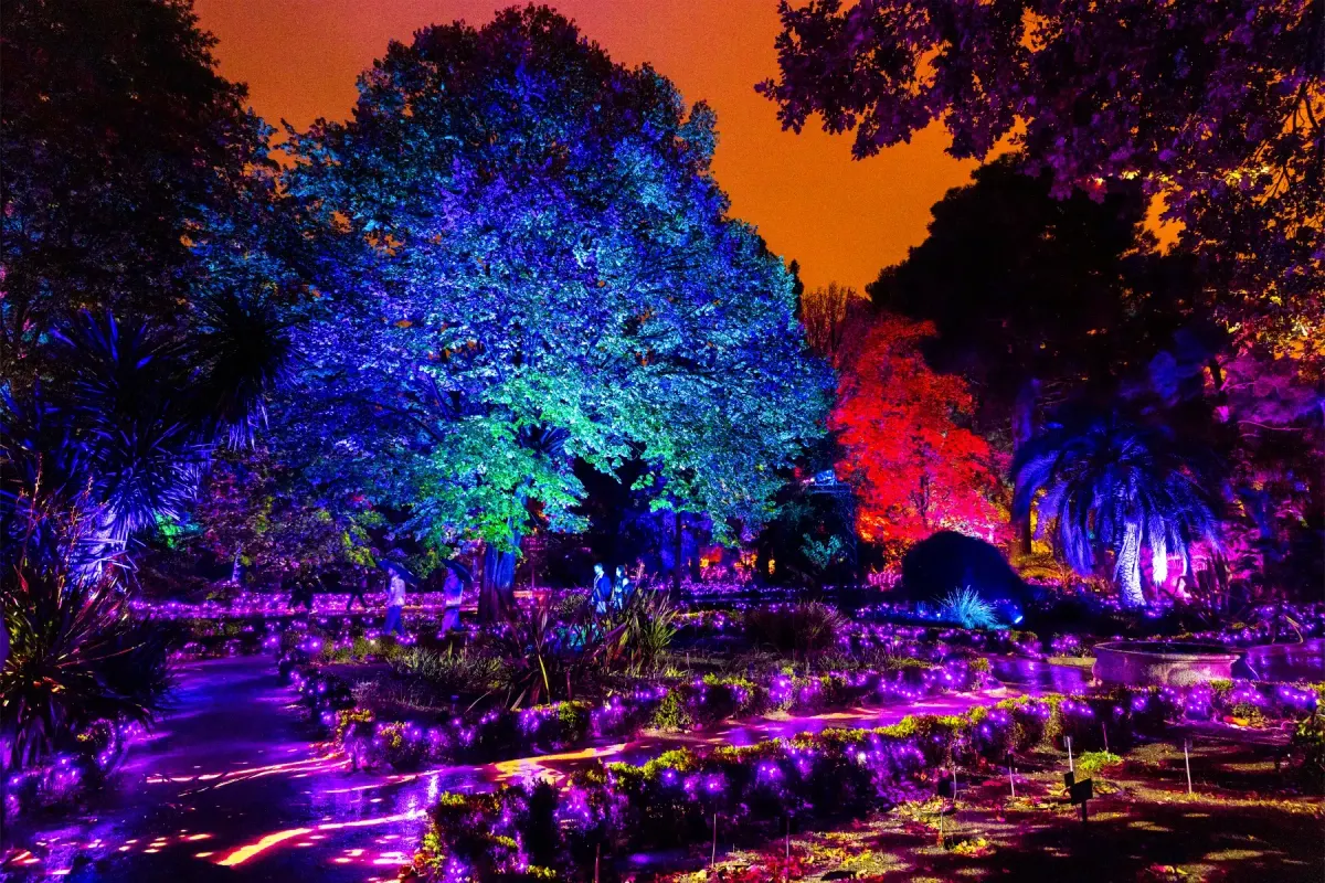 Experiencia «Naturaleza Encendida: Alicia en el País de las Maravillas»