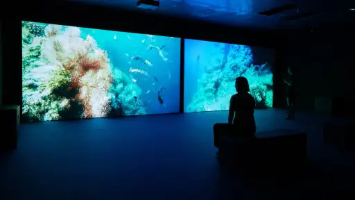 Exposición «El océano habla. Nuevas ecologías y economías del mar» Barcelona 2024