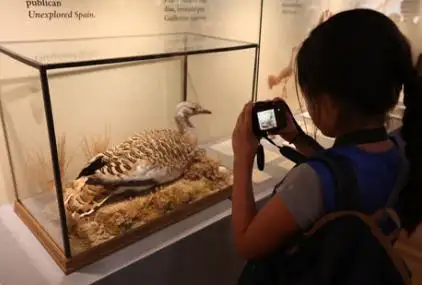 Museo Nacional de Ciencias Naturales en Madrid