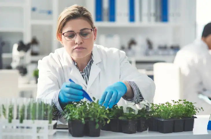 Ciclo de actividades «Més que Muses, 13è cicle de Dones Creadores» del 14 al 22 de febrero de 2025 en Barcelona