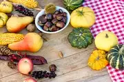 Festival gastronómico «Tasta’M. Frutas de otoño»