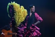 Emociones: Espectáculo Flamenco