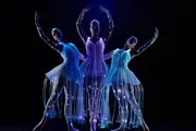 Espectáculo «Ballet of Lights: La Bella Durmiente»