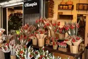 Floristería Olimpia