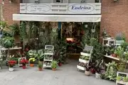 Floristería Endrina