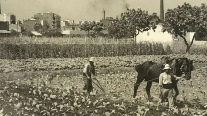 Exposición «L’última collita. Transformacions i pervivències de la Barcelona rural a través dels Arxius Municipals de Di